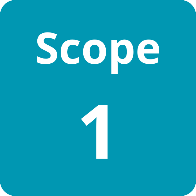 EcoVadis Scope 1 EcoVadis Scope 1